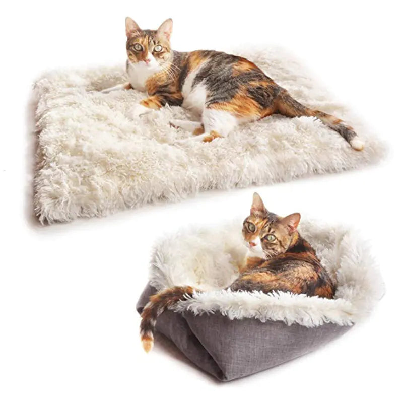 Dual-Use Cat Bed with Sleep Blanket and Tunnel
