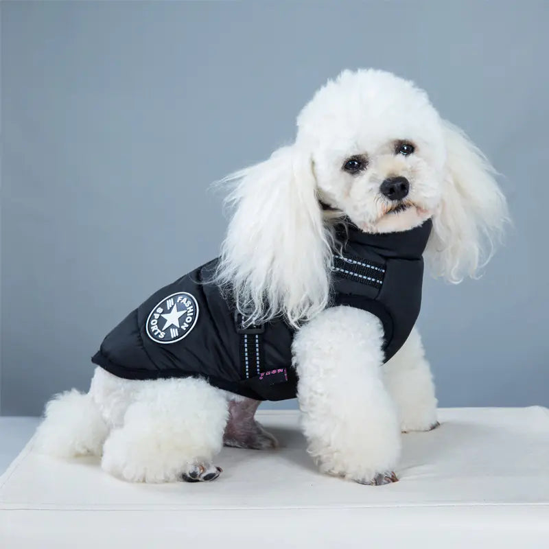 New Dog Vest for Pets - Teddy & Bichon Style