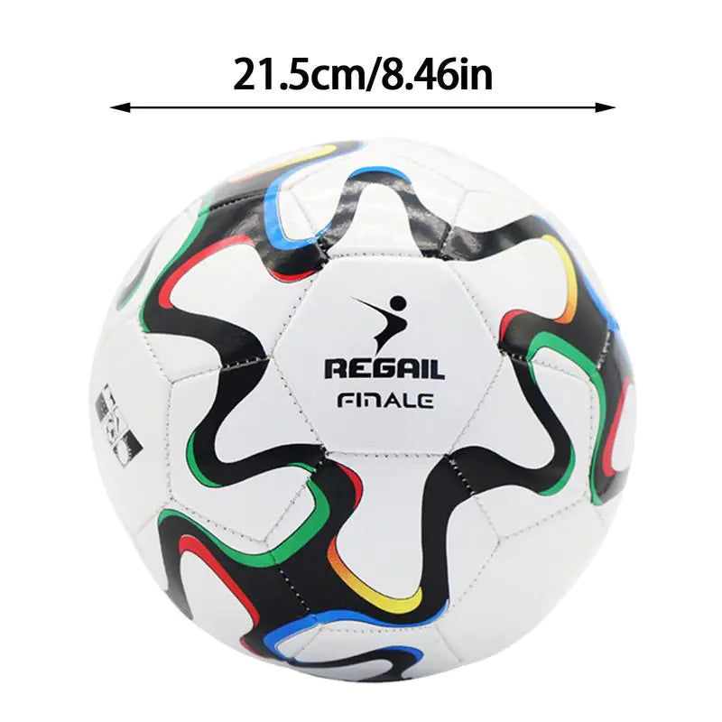 Professional No. 5 PVC Outdoor Training Game Ball