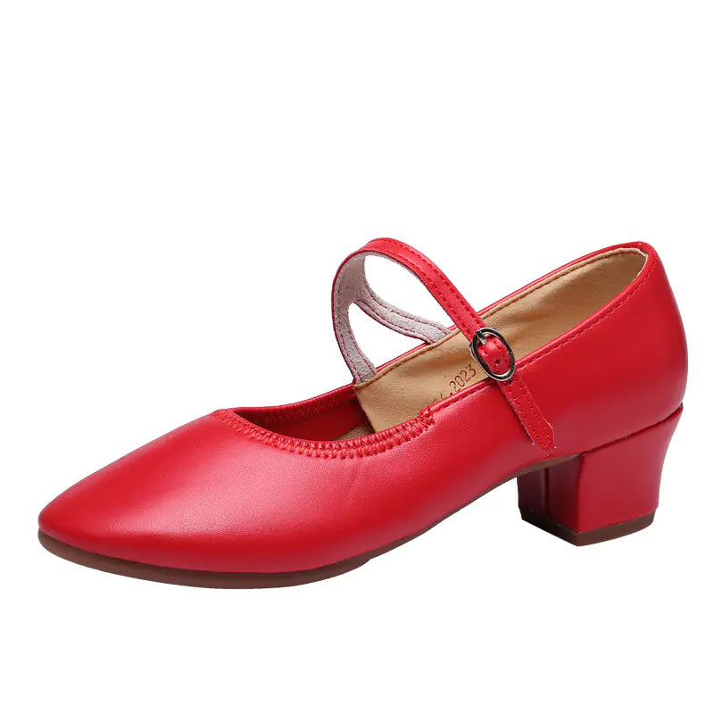 2023 Women's Dance Shoes for Modern & Square Dancing