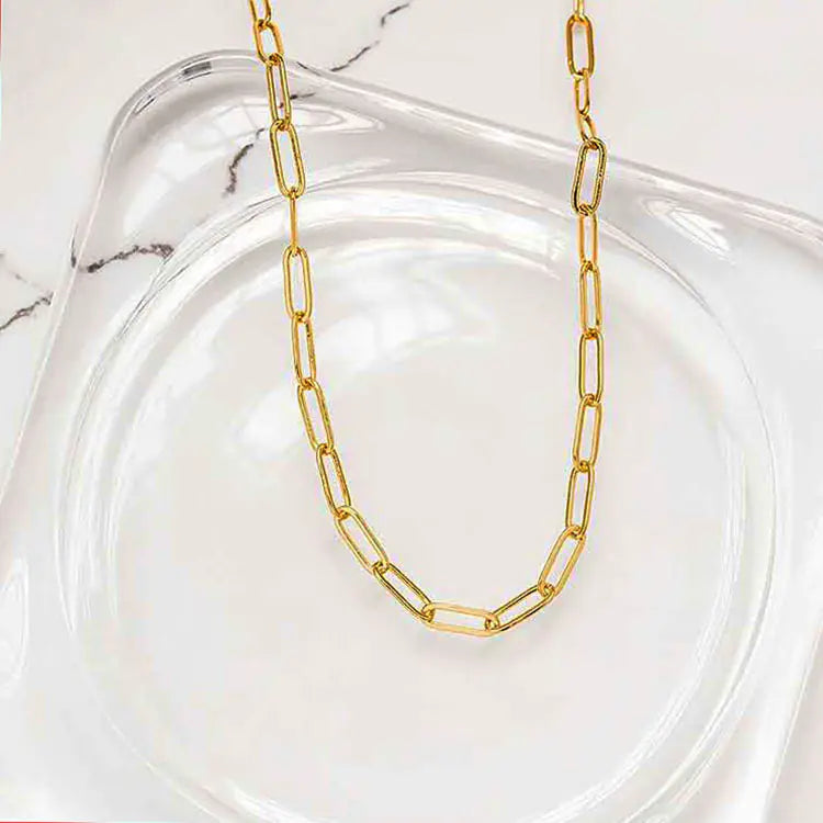 18K Gold-Plated Titanium Steel Twist Chain Necklace