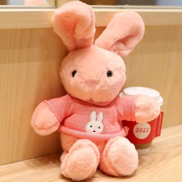 Cute Long-Eared Cartoon Plush Rabbit Toy