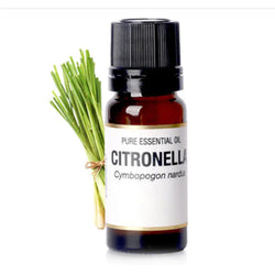 Aceite Esencial de Citronela 10ML para el Cuidado de los Poros y la Hidratación